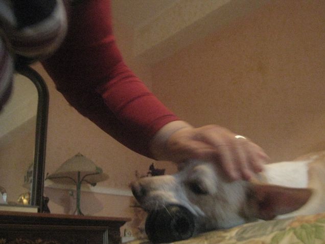 Le coccole di nonna Mary