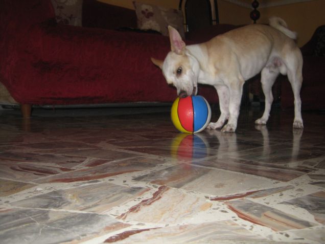 Distruzione in fase: work in progress