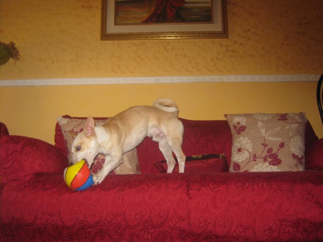 Questa palla non mi piace più, devo distruggerla :D