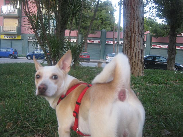 Hai finito di guardarmi il popò?