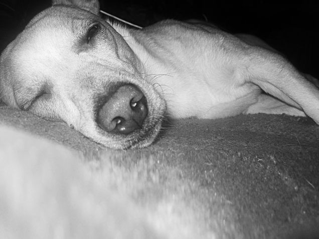 Dopo la passeggiata :)