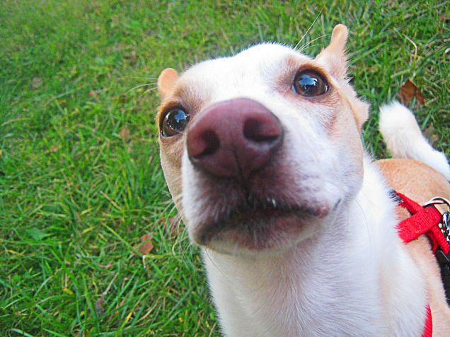 Il mondo è stupendo attraverso i tuoi occhi