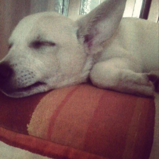 fai la ninna nanna amore di mamma