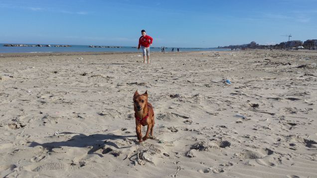 Corry Mickey,corri!!!