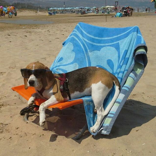 Tutti al mareee