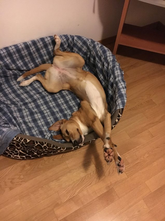 Buona notte ragazzi!