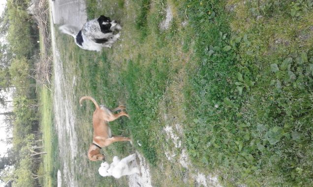 Perla, Billy e Nuvola