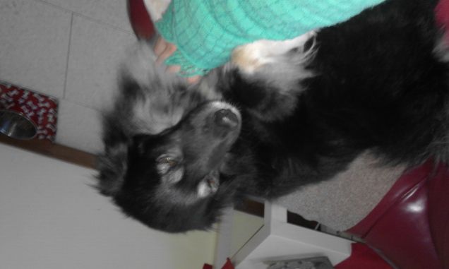 Io adooOooro le coccole 