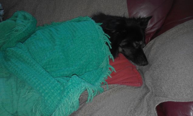 Sotto le coperte....