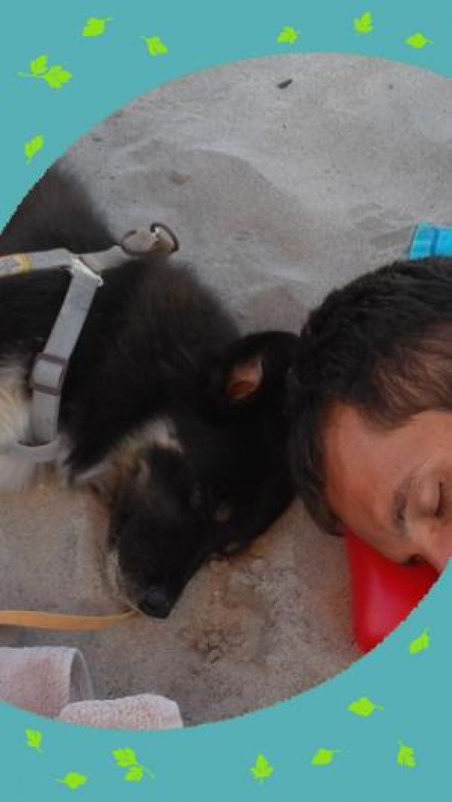 Siesta sulla spiaggia con papà