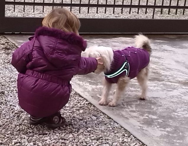 Pricipesse in pandan