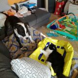 Dea e mabelle e Cloe