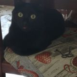 I miei cuciolotti❤