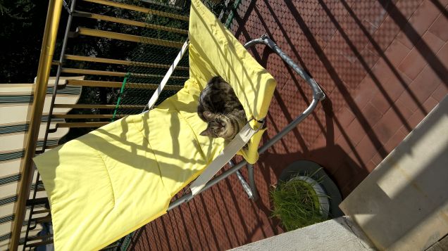 camilla sul terrazzo