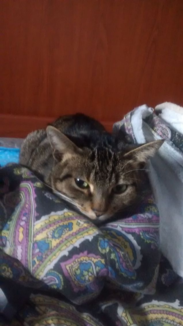 Buona nanna a tutti! 