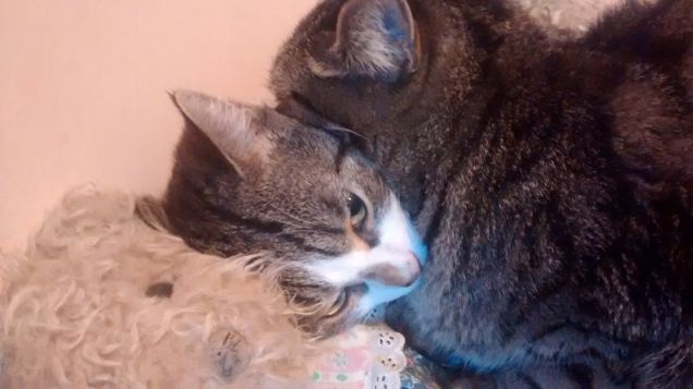 Keta e Odette: la coppia più bella del mondo! 