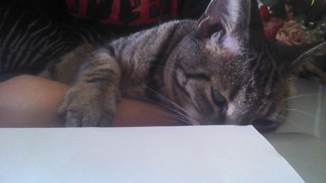 Mamma facciamo la tesi insieme!