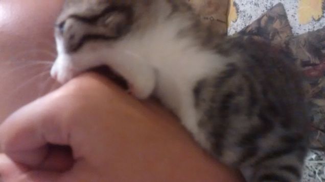 Eri una peste già da piccolino!