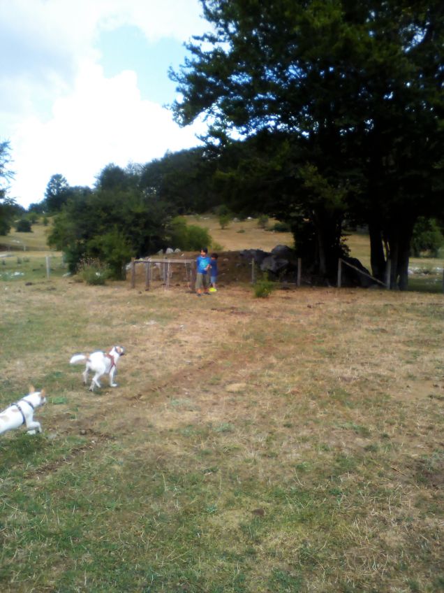 Baloo e Edith gara di velocita'