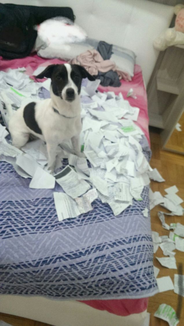 Odiamo la stessa professoressa