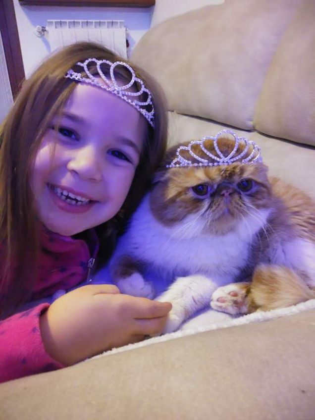 E vissero per sempre felici e contenti Petpassion