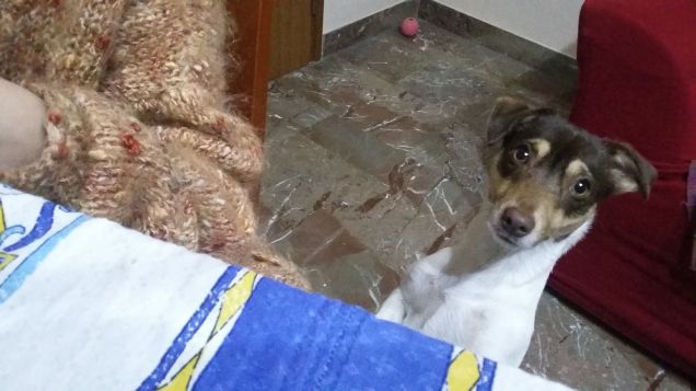 me ne dai un pezzetto