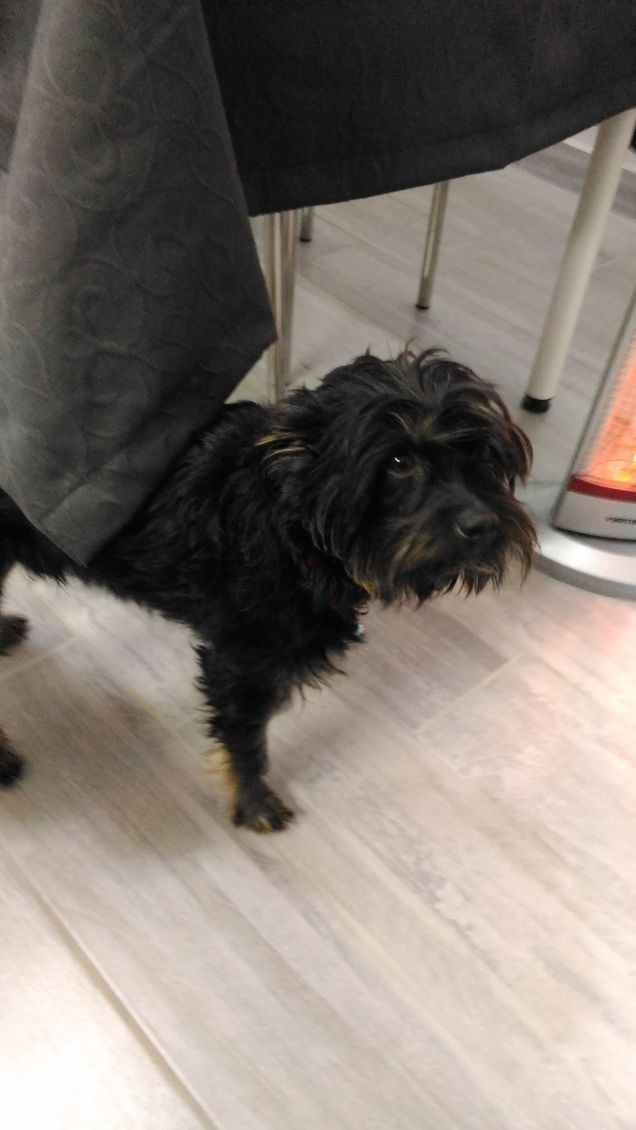 Al calduccio con la stufa davanti 