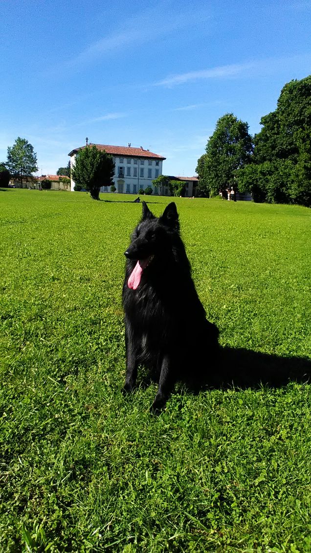 James Bond in attesa di ordini .