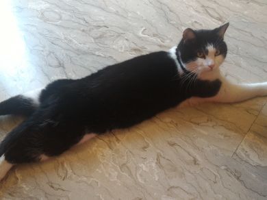 Max