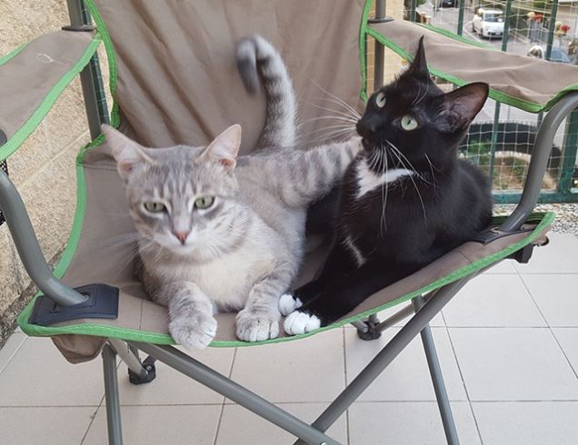 Minù e Jack
