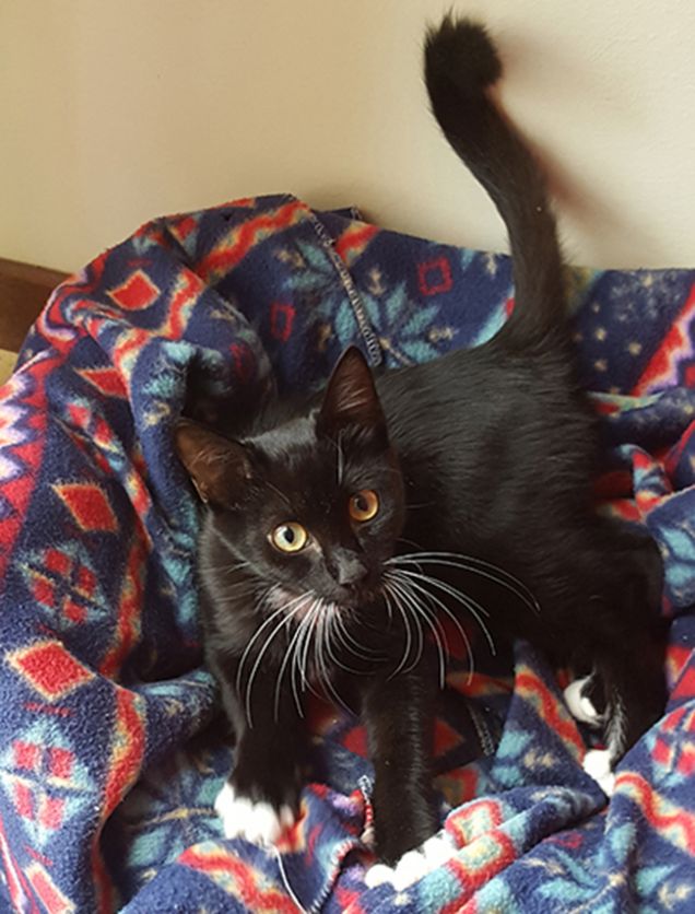 prima settimana a casa ottobre 2015