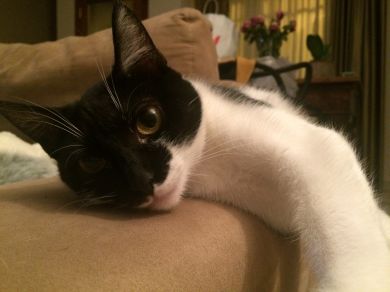 Sophie