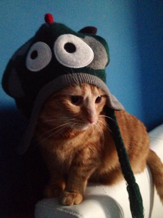 Kiki con il cappello di Ettore