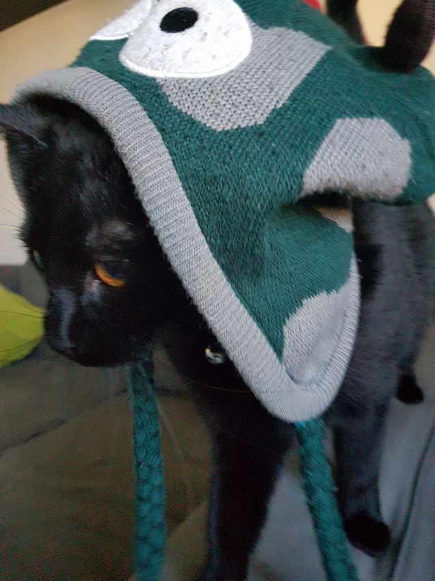 Morfeo con il cappello di Ettore