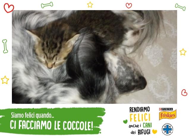 I miei dolci tesori ..