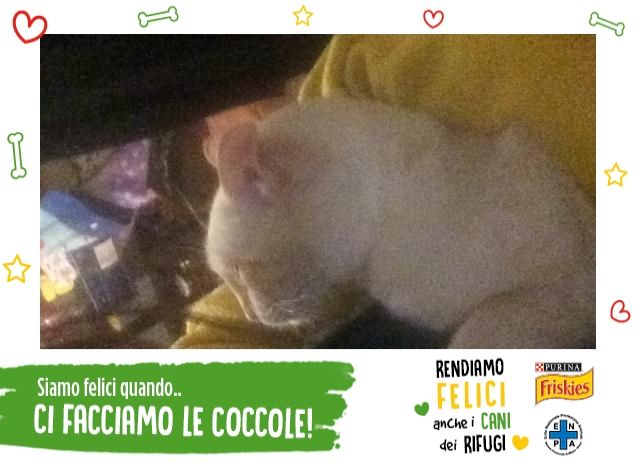 Una coccola dietro l'altra