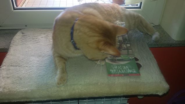 Gabbana curioso dei buoni sconto ricevuti!