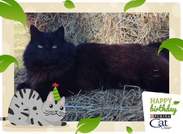 Buffy versione estate! 