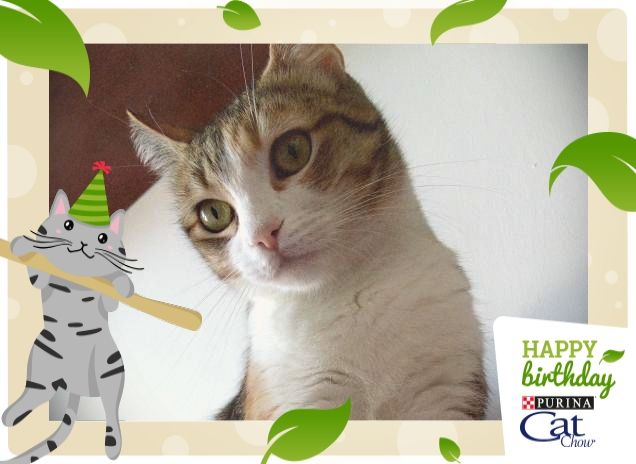 Tutto sotto controllo