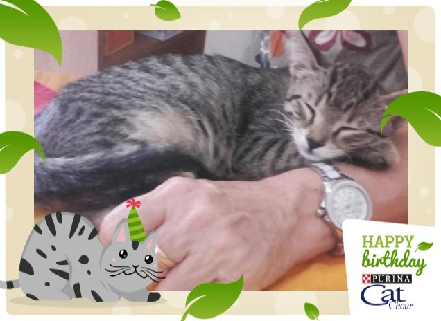 graaaaaaaaaaaaauguri Cahtchow!