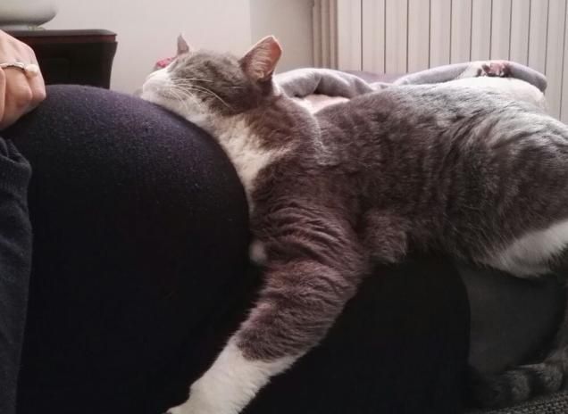 Lulu sorella maggiore