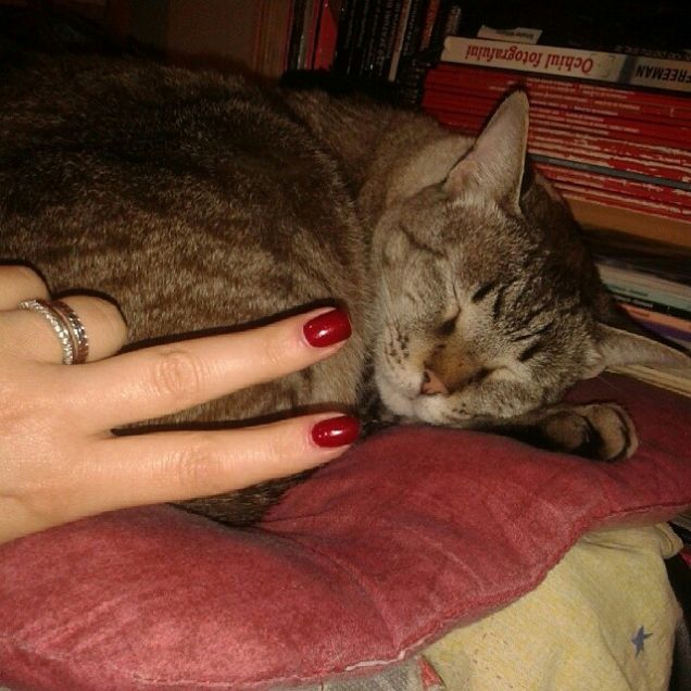 Oggi e domenica 05/02/2017