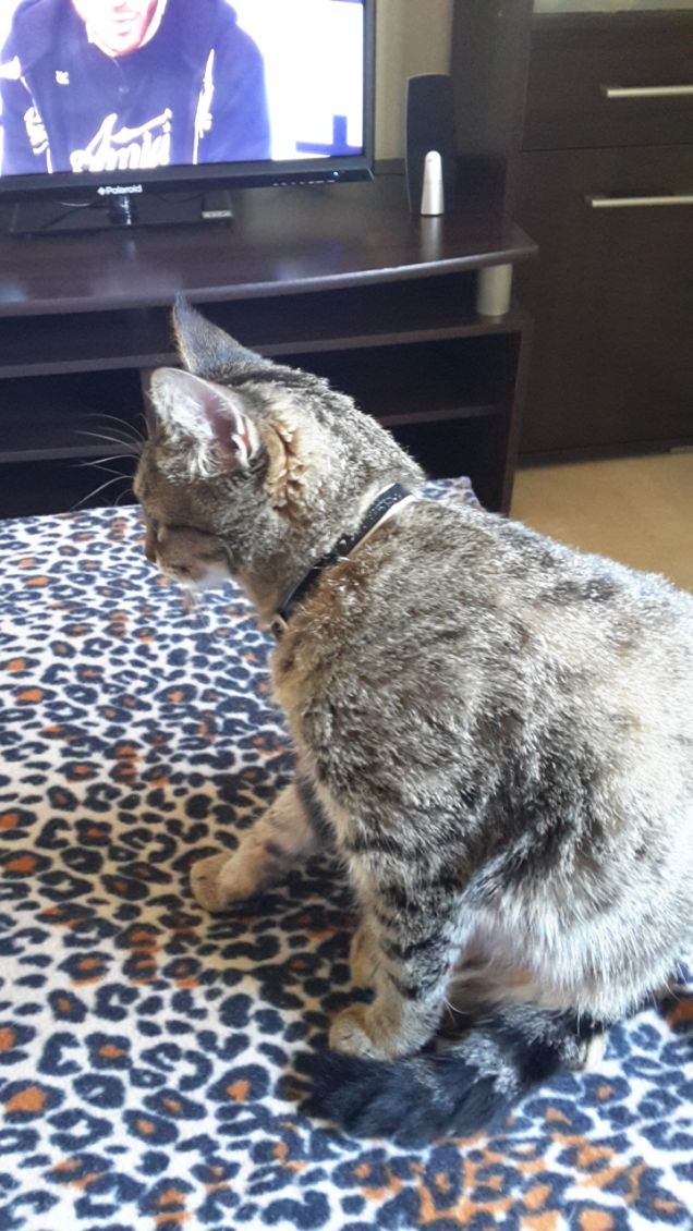 sofia 12 Novembre -0