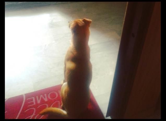 Aspettando gli ospiti