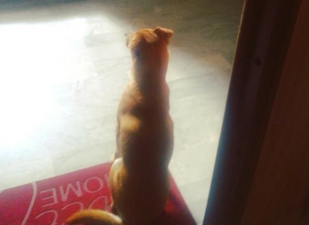 Aspettando gli ospiti