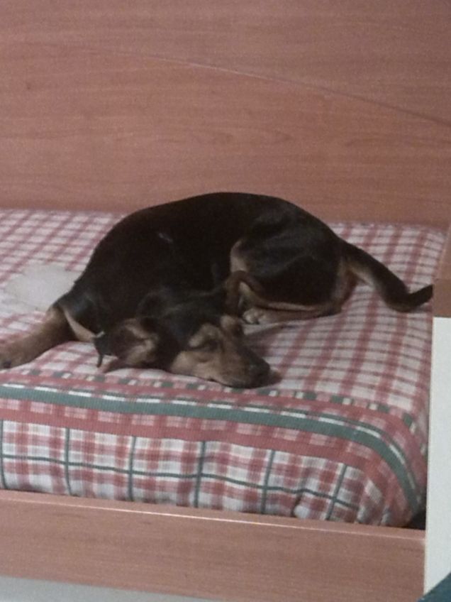 relax lontano dal caldo