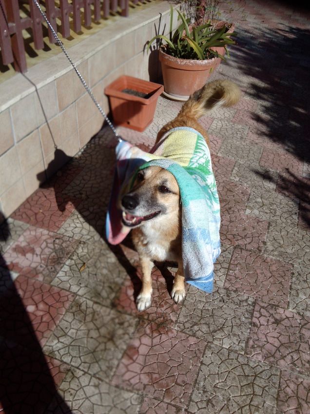 Luna dopo il bagnetto