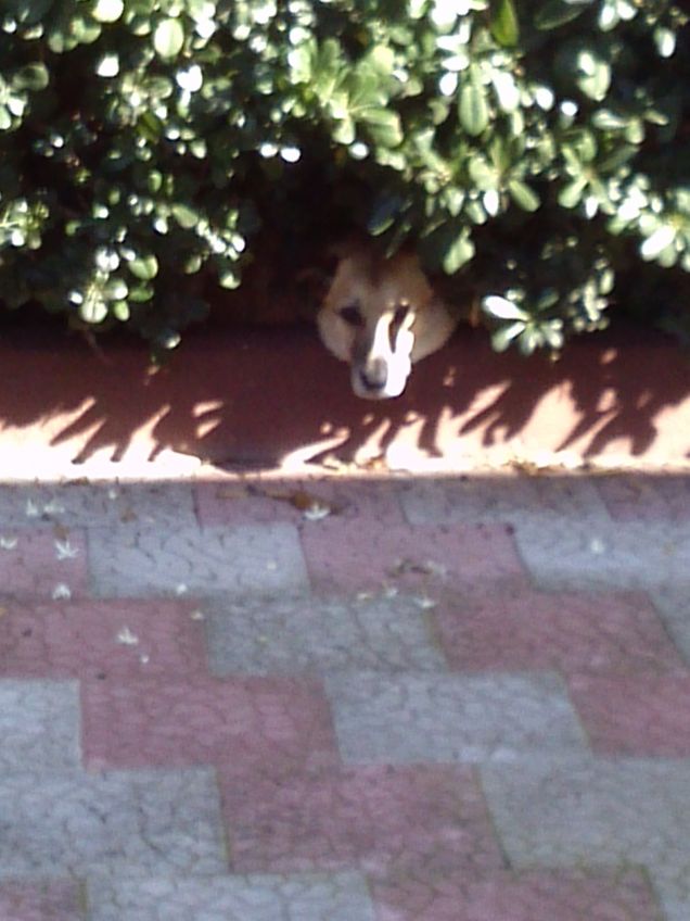 Luna e la sua paura per l'acqua