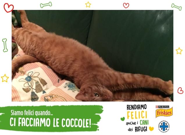 Buonanotte fiorellino