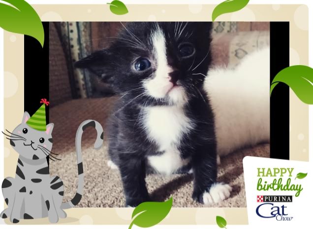 Storia di un grande amore, bianco che abbraccia il nero...